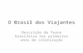 O Brasil dos Viajantes
