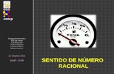 SENTIDO DE NÚMERO  RACIONAL