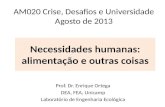 AM020 Crise, Desafios e Universidade Agosto de  2013