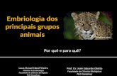 Embriologia dos principais grupos animais