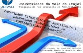 Universidade do Vale do Itajaí Programa de Pós-Graduação em Administração