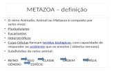 METAZOA – definição