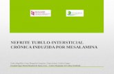 Nefrite Tubulo-Intersticial Crónica induzida por  Mesalamina