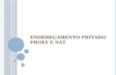 Endereçamento  Privado Proxy e NAT