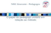 NRE Itinerante - Pedagogos