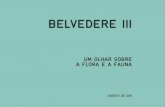 Belvedere - Um Olhar Sobre a Flora e a Fauna