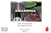Amazônia 301