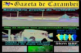 Edição nº 06 - Jornal Gazeta de Carambeí