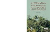 A Alternativa Agroflorestal na Amazônia em Transformação