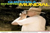 Guatemala en la economia Global