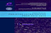 PORTFOLIO DE PROJETOS ESTRATÉGICOS - PRDA 2012-2015