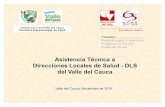 Asistencia Tecnica DLS Valle del Cauca