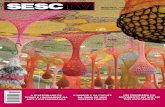 Revista SescTV - Maio de 2011