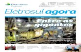 Jornal Eletrosul Nº 117 - Abril 2013