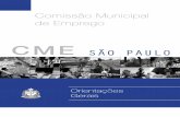Comissão Municipal de Emprego - orientações gerais – 2010. 2ª edição