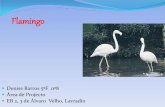 8 Flamingo denise 30 jan