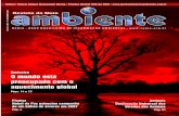 Revista do Meio Ambiente 04