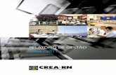 Revista de Gestão CREA-RN  - 2009-2011