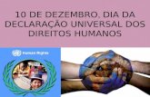 declaracao universal dos direitos humanos