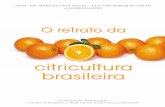 O Retrato da Citricultura Brasileira