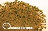 Lisboa Cultural 201
