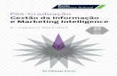 Brochura PG Gestão de Informação e Marketing Intelligence
