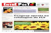 Jornal Entreposto | Setembro 2012