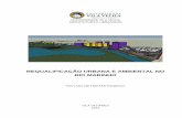 TCC arqurbuvv - Requalificação Urbana e Ambiental no Rio Marinho
