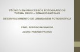 Desenvolvimento de linguagem fotografica