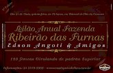 Animais a venda - Ribeirão das Furnas