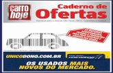 Classificados Carro Hoje - São Paulo (039)
