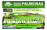 Revista Digital do Palmeiras nº1