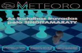 Revista Meteoro  do SINDITAMARATY - 1° edição