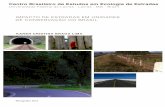 Impacto de estradas em unidades de conservação do brasil