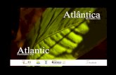 Catálogo Divulgação: Exposição Atlântica