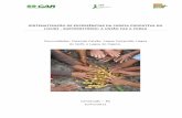 Sistematização com agricultores extrativistas do coco licuri