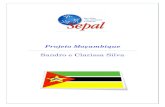 Projeto Sepal Moçambique