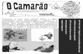 O Camarao - edição três