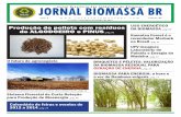 Jornal Brasileiro das Indústrias de Biomassa Ed 05