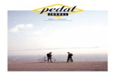 Jornal Pedal 2