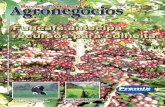 Edição 10 - Revista de Agronegócios - Maio/2007