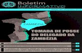 Boletim Informativo - 8ª edição