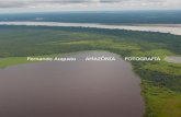 Livro de Fotos - Amazônia