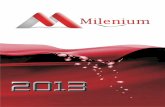 Catálogo Milenium 2013