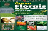 Curso Florais da Mata Atlântica, em Manaus, Amazonas