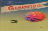 Geometria - Teoria e Prática (558 páginas)