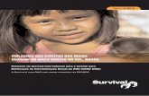 Relatório para a ONU sobre violações dos direitos dos índios Guarani no MS (Survival International)