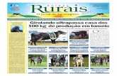 Jornal Raízes Rurais - Edição de JULHO-AGOSTO 2012