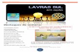Lavras-Sul em ação - nº 31 - 2012-2013