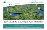 Um Resumo do Status das Florestas em Países Selecionados - Nota Técnica